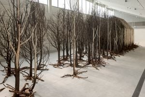 Doris Salcedo, _Uprooted_ (2020–2022). 804 dead trees and steel. 3000 x 650 x 500 cm. Exhibition view: Sharjah Biennial 15, Kalba Ice Factory, Sharjah Art Foundation (7 February–11 June 2023). Courtesy the artist. Photo: Juan Castro.
